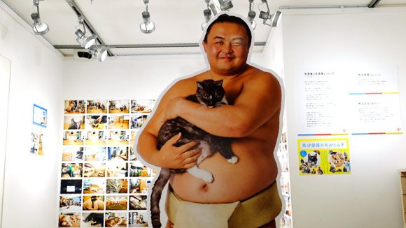 ほぼ日のTOBICHI(とびち)「猫と力士のあかるい写真展」に行ってきた