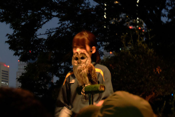 動物ガイドさんによる説明コーナー