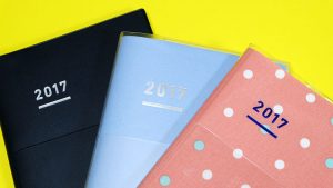 2017年ジブン手帳3つを比較「ジブン手帳ファーストキット」「ジブン手帳Biz」「ジブン手帳mini」