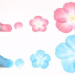 「花びらミニ　ピンク」「花びら　ピンク」「花びらミニ　ブルー」「花びら　ブルー」の違い